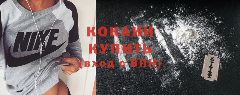 купить закладку  Бузулук  Cocaine FishScale 